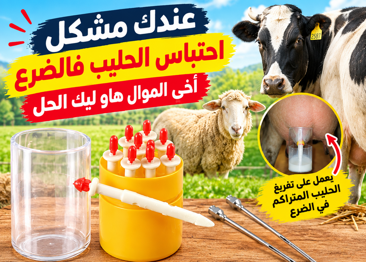 إبرة تفريغ الضرع(10)