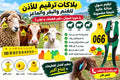 أقــــراط تعـــريفية أغنــــام و أبقـــار (100) + بـــانس لتركيــــب