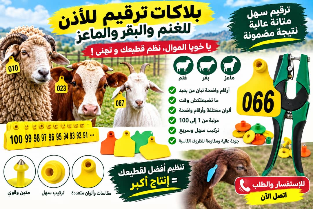 أقــــراط تعـــريفية أغنــــام و أبقـــار (100) + بـــانس لتركيــــب