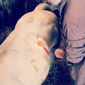 pack ((مشبك أنف للأبقار + مبزل +  جهاز منع الرضاعة للعجول))