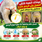 مثبت خروج الرحم
