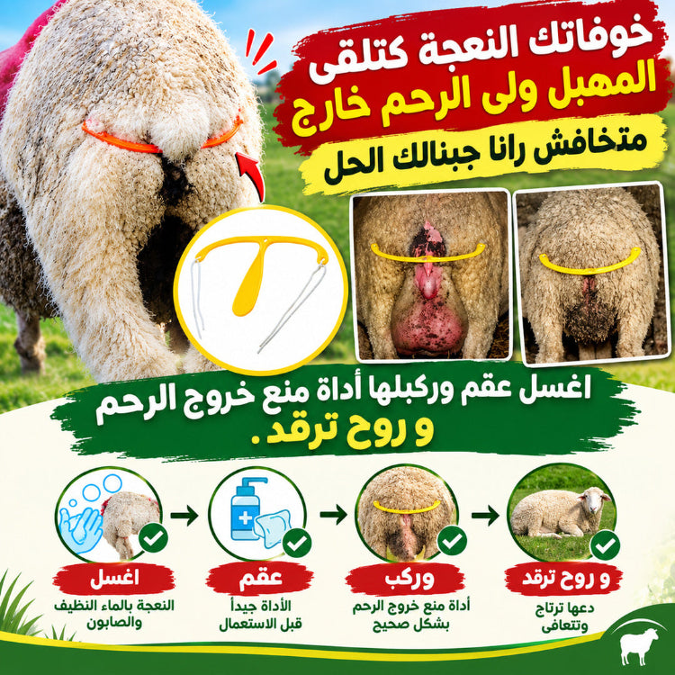 مثبت خروج الرحم