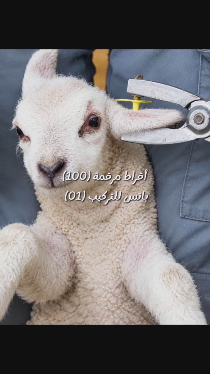 أقــــراط تعـــريفية أغنــــام و أبقـــار (100) + بـــانس لتركيــــب